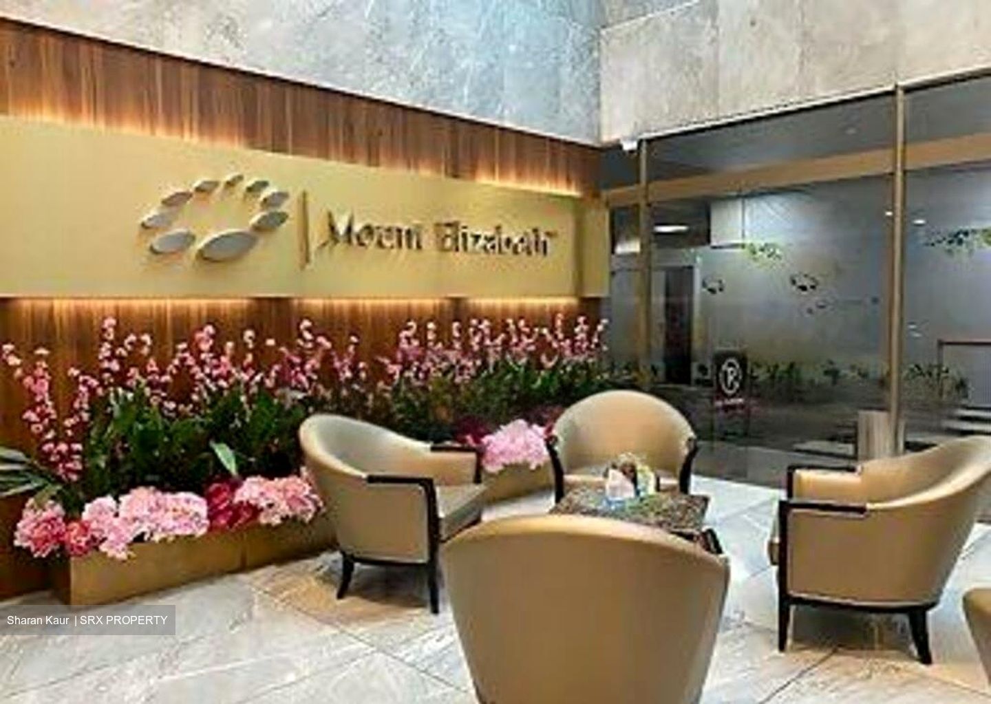 Mount Elizabeth Hospital (D9), Retail #453866491